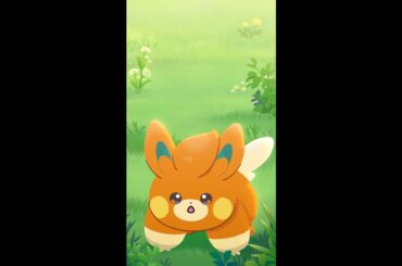 【公式】ポケモンアニメ「パモパモットパーモット！」【POKÉTOON】