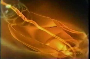 2007  CM  リンクル　セラティ　【ソフィーナ】　高島礼子