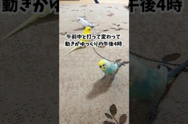 お…か…えり…