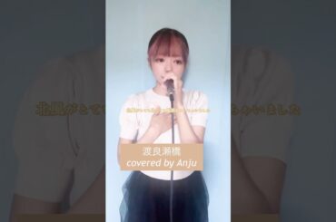 渡良瀬橋/森高千里#歌ってみた#cover