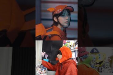 SAKURAのボブやばい！ルセラのEAT IT UP🍝 #LESSERAFIM #ルセラフィム #SAKURA #宮脇咲良 르세라핌 #사키라 #kpop