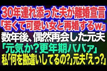 30年連れ添った夫が突然離婚宣言「若くて可愛い女と再婚するｗ」→数年後、婚活ツアーで再会した元夫「元気か？更年期ババァ」私「は？何を勘違いしてるの？」元夫「えっ？