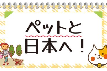 外国人がペットと一緒に日本に入国する方法【手続き完全解説】