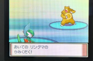 必ず凍らせる最強エルレイドで3タテする逆フロンティアクオリティ