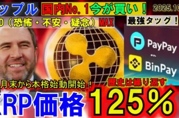 リップル（XRP)FUD激高の今が買い⁉XRP125％UPの可能性！PayPya×バイナンスで日本の暗号資産に革命が起こる！最強タッグだ！