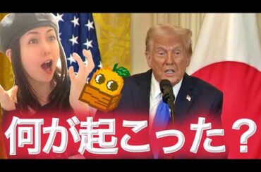 【緊急】仮想通貨大暴落 またトランプ 過去の暴落の例