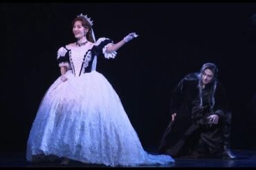 【期間限定】ミュージカル『エリザベート』望海風斗、古川雄大、田代万里生、伊藤あさひ