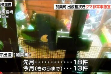 クマ対策で「非常事態宣言」10月に入り既に13件 クマ出没に危機感 宮城・加美町