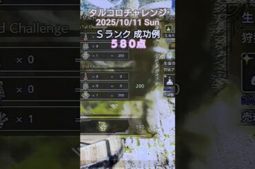 タルコロチャレンジ 2025/10/11  Ｓランク 成功例
