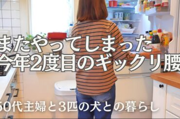 暮らしのvlog / 50代主婦の日常 / 更年期のギックリ腰 / 主婦のごはん / 犬のいる暮らし / 冷蔵庫掃除 / 手作りハンバーグ / お気に入りの布巾