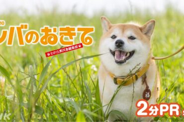 【ドラマ10 シバのおきて】2分PR 犬バカよここに集まれ！大東駿介 飯豊まりえ 9/30(火)スタート | ドラマ10 | NHK