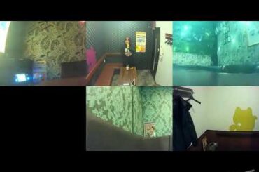 ℃-ute・真野恵里菜／愛は勝つ【右上端3枠目が僕　うたスキ動画】