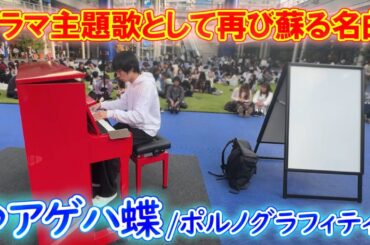 令和にドラマ主題歌として蘇る名曲「アゲハ蝶/ポルノグラフィティ」弾いてみた【ストリートピアノ】