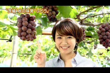 磯山さやか : 旬刊いばらき・秋の味覚ぶどう (201409)