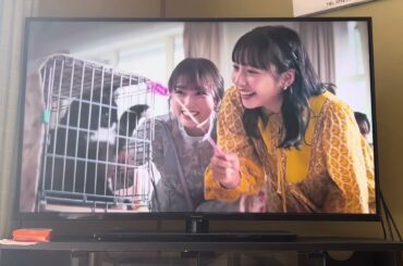 アフタリフトCM 宮崎あおい•岡田将生／ボートレースCM 神尾楓珠•矢吹奈子•山之内すず