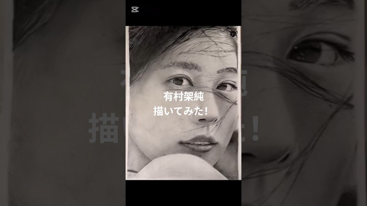 #鉛筆画 #人物画 #有村架純 #描いてみた #art #鉛筆画 #人物画 #有村架純 #描いてみた #art