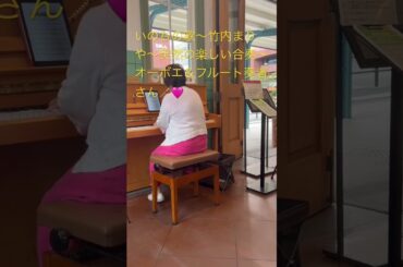 ＃いのちの歌#竹内まりや＃合奏＃オーボエ＃フルート＃フルは動画より