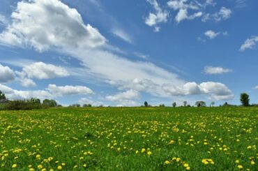☆☆☆　森山良子 【２】　☆☆☆