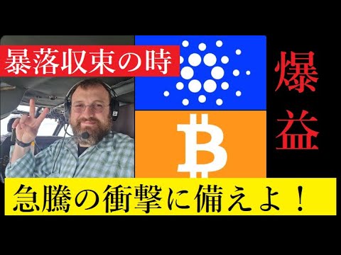 【隠居Vlog】仮想通貨暴落から反転急騰!巨大利益はブラックロック!ADA/BTC 【隠居Vlog】仮想通貨暴落から反転急騰!巨大利益はブラックロック!ADA/BTC