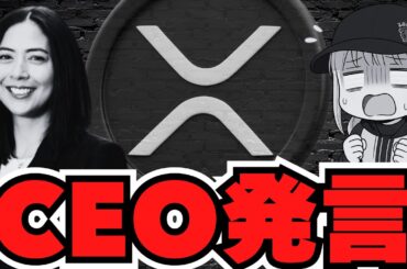 リップルCEOが銀行提携について発言？仮想通貨バブルは本当に来るのか？【ビットコイン・XRP】