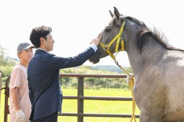 妻夫木聡『ザ・ロイヤルファミリー』謎すぎる目黒蓮の起用…JRA全面協力の大作日曜劇場も不安視される“競馬とドラマのバランス”