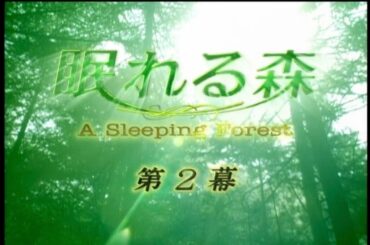 竹内まりや 「カムフラージュ」 眠れる森 OP
