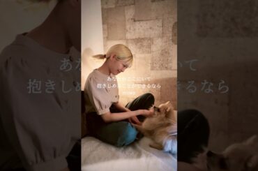 あなたがここにいて抱きしめることができるなら / miwa - Covered by パクユナ