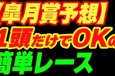 【皐月賞予想2025】1頭だけでOKの簡単レース