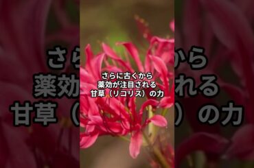 【成分の力で美肌】フラーレン・セラミド・甘草配合！本気で肌を変えるスキンケア#フラーレン #セラミド #甘草 #shorts