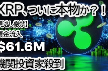 【$61.6M流入】リップル,XRP ETF 承認カウントダウン！価格10%急騰の裏側と$5目標の根拠を徹底解説