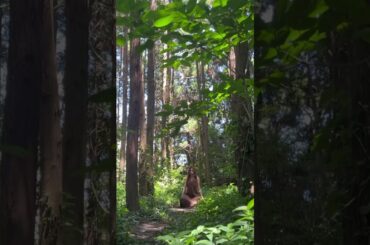 2025.10.15 Release  倉木麻衣「リラック素〜What a wonderful world〜」Teaser