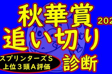 秋華賞2025追い切り診断！オークス馬カムニャックや桜花賞馬エンブロイダリーなど状態面はどうか？素晴らしい状態の馬も多いが水曜日追いの党ウ数は少なく木曜追いの馬にも注意が必要！
