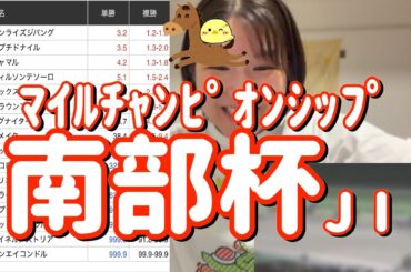 レース結果【南部杯JⅠ🐎 2025.10.13】舐められすぎてるこの馬でワイド2点勝負じゃい！！！