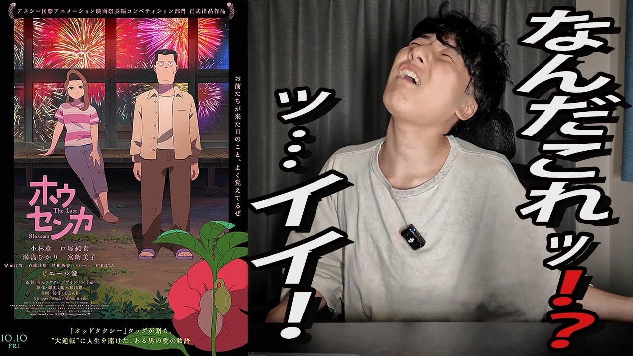 オッドタクシーのチームが作った新作アニメ映画「ホウセンカ」感想 オッドタクシーのチームが作った新作アニメ映画「ホウセンカ」感想