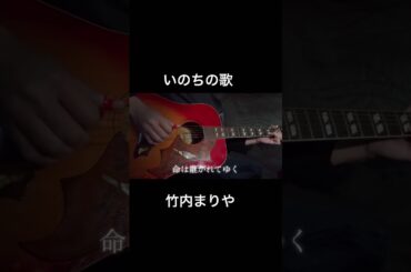 #いのちの歌  #竹内まりや  #ギター   #弾き語り  #shors  #shorts  #命理 #いのちの歌  #竹内まりや  #ギター   #弾き語り  #shors  #shorts  #命理
