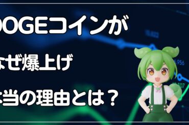 🟥【爆上げ】今ドージコイン高騰のヒミツ  ｜仮想通貨  最新情報 ニュース 暗号資産｜初心者  ビットコイン ミームコイン｜トランプ大統領｜