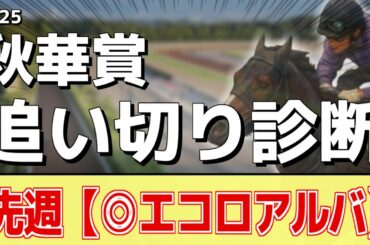 追い切り徹底解説！【秋華賞2025】カムニャック、エンブロイダリーなどの状態はどうか？調教S評価は2頭！