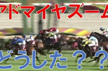 スワンステークス 2025 結果 レース回顧 アドマイヤズームが負けた理由