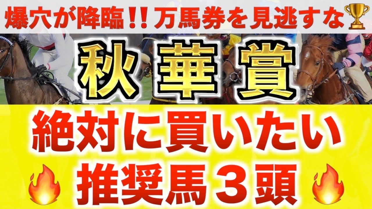 【秋華賞2025 予想】ジョスラン過去最高のデキ?プロが”全頭診断”から導く絶好の3頭! 【秋華賞2025 予想】ジョスラン過去最高のデキ?プロが"全頭診断"から導く絶好の3頭!