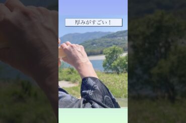 だし巻き玉子サンド店＠吉野川ピクニック