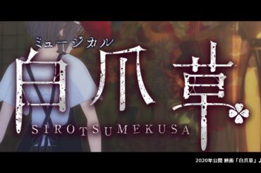 【2026年1月上演】新作ミュージカル『白爪草』PV