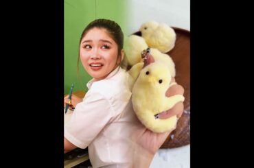 『まさかの親当てクイズ🤣』#本日も絶体絶命 #ショートコント #堀未央奈 #コメディ #お笑い #参観日 #shorts #viral  #料理 #コントチャンネル #comedyvideo