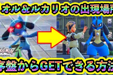 【ポケモンZA】リオル＆ルカリオを序盤にGETする方法！オヤブン個体も出る激熱スポット【ポケモンレジェンズZA】