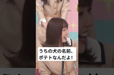 じゃあ、いつか焼いて食べちゃうの？[ 和田まあや ] #乃木坂46