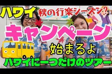333：【ハワイ】　ハワイで1つだけのツアー🤣をご紹介🌈ラニハワイツアーで待ってるよ🤗　秋の行楽シーズン🍂🍁ハワイは常夏だけど『キャンペーン』でたよ！😆