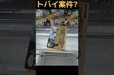 #クレーンゲーム #攻略 #ドバイ案件 #ドバイ  クレーンゲーム 攻略  TikTok