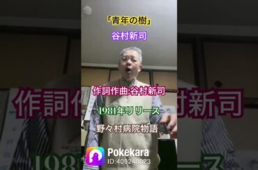 懐かしい俳優さんの主題歌‼️是非聴いてくださいね❗️谷村新司さん、夏目雅子さん懐かしい。