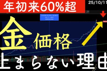 【年初来60%超】いま金価格の上昇が止まらないのはなぜ？ #金 #米国株 #日経平均