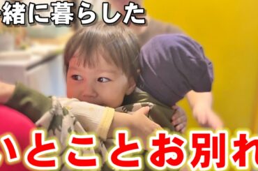 別れの朝、娘の「パパ泣かないで。」に言葉を失いました。