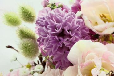 ☆ねむの木の子守歌☆美智子上皇后作詞/吉永小百合・梓みちよ❤️covered by桜🌸🌸🌸（Sakura）🌸🌸🌸🌸🌸